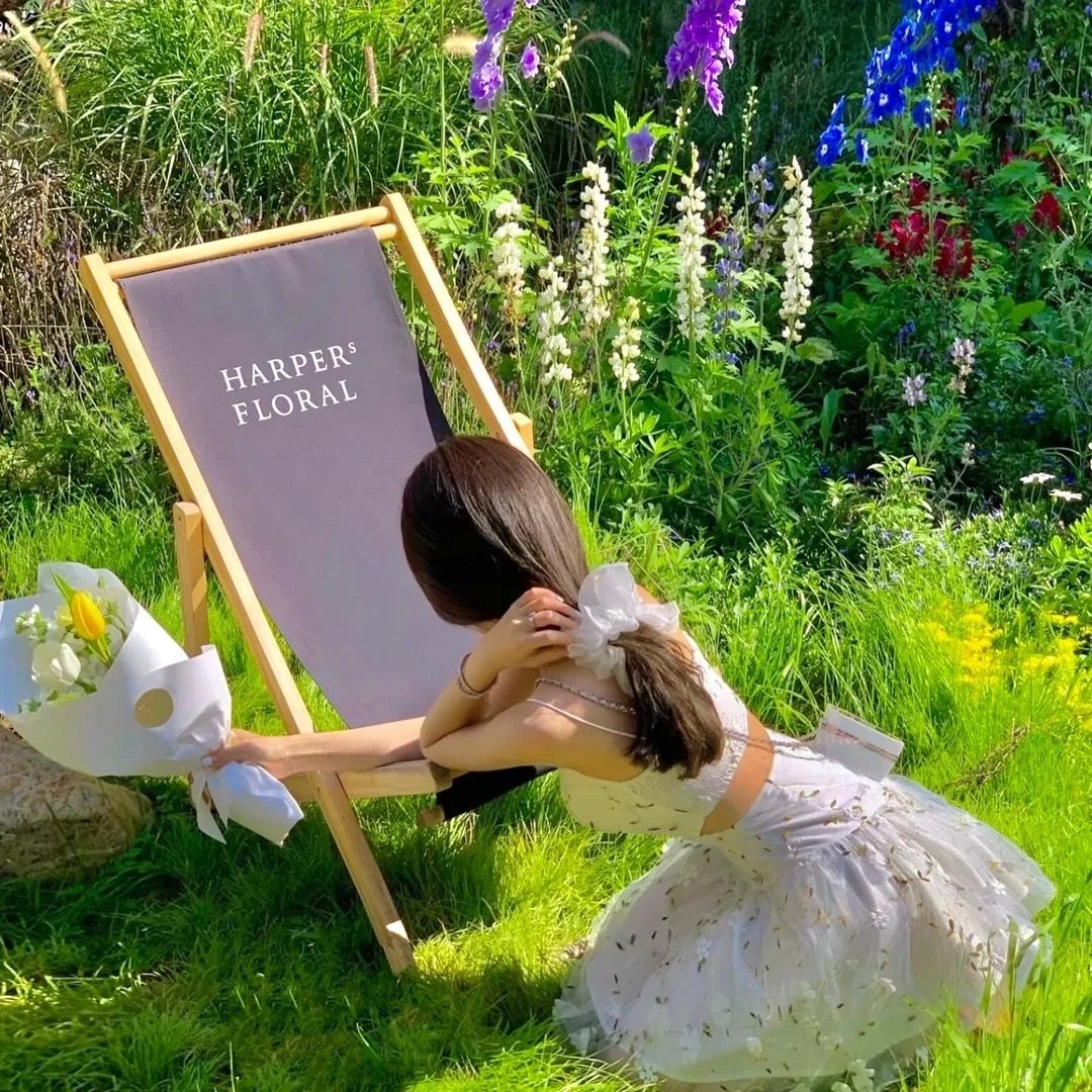 塞琳和朱莉出航记